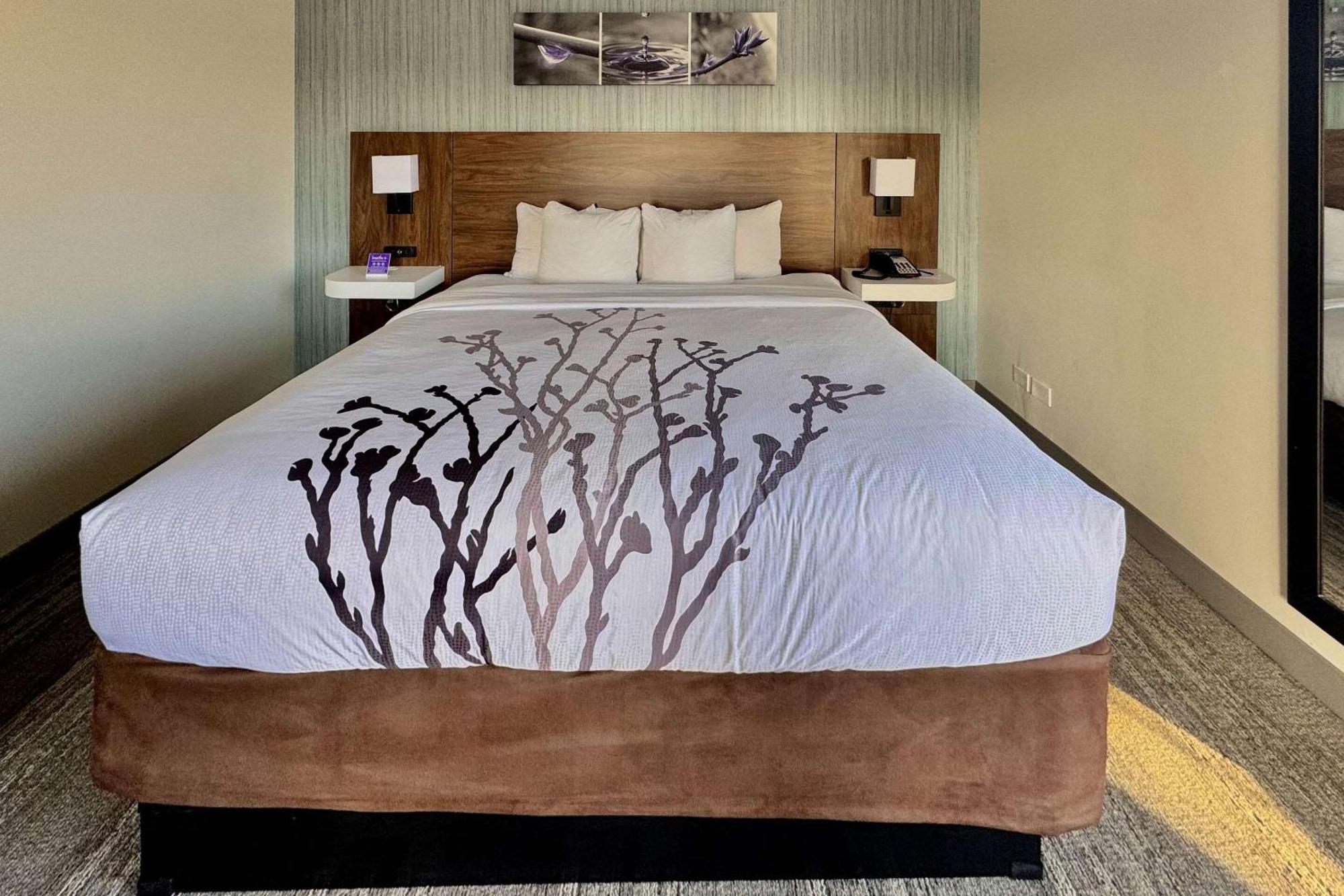 Sleep Inn Oakbrook Terrace - Chicago المظهر الخارجي الصورة